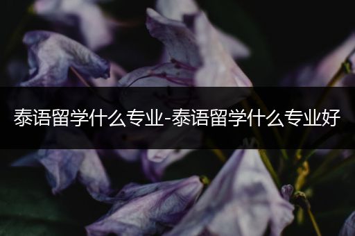 泰语留学什么专业-泰语留学什么专业好