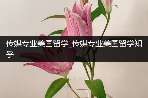 传媒专业美国留学_传媒专业美国留学知乎