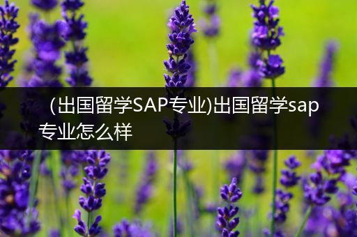 （出国留学SAP专业)出国留学sap专业怎么样