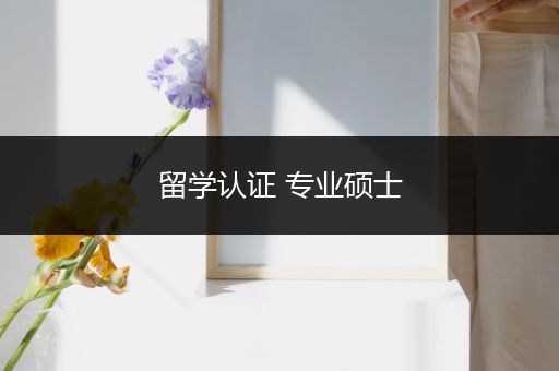 留学认证 专业硕士