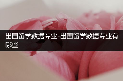 出国留学数据专业-出国留学数据专业有哪些