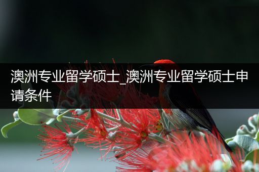 澳洲专业留学硕士_澳洲专业留学硕士申请条件