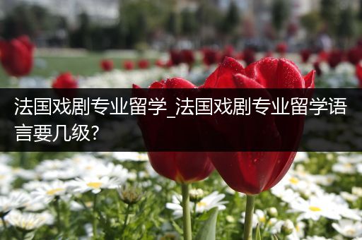 法国戏剧专业留学_法国戏剧专业留学语言要几级?