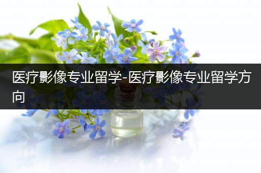 医疗影像专业留学-医疗影像专业留学方向