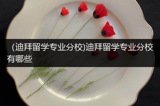 （迪拜留学专业分校)迪拜留学专业分校有哪些