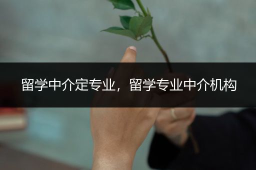 留学中介定专业，留学专业中介机构