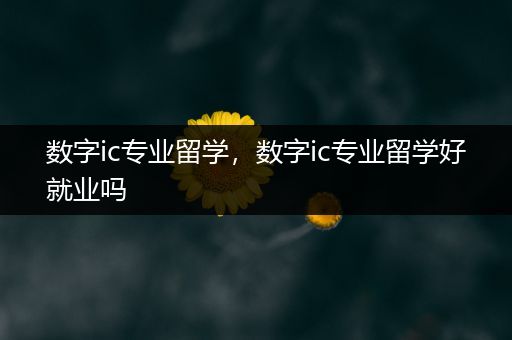 数字ic专业留学，数字ic专业留学好就业吗