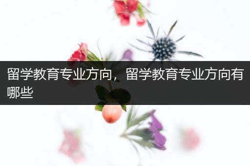 留学教育专业方向，留学教育专业方向有哪些