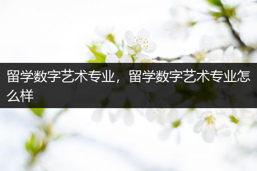 留学数字艺术专业，留学数字艺术专业怎么样