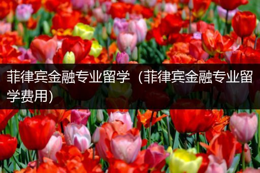 菲律宾金融专业留学（菲律宾金融专业留学费用）