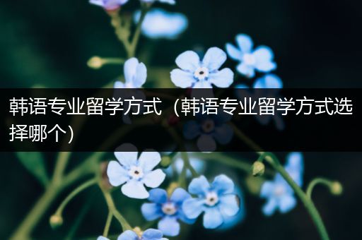 韩语专业留学方式（韩语专业留学方式选择哪个）