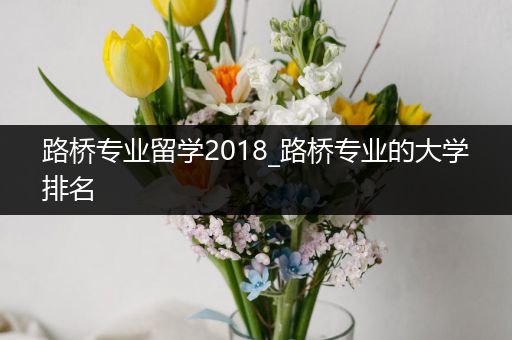 路桥专业留学2018_路桥专业的大学排名