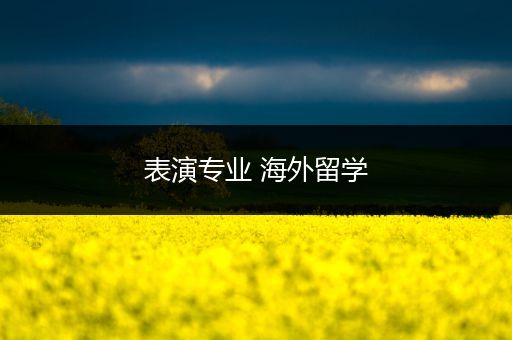 表演专业 海外留学