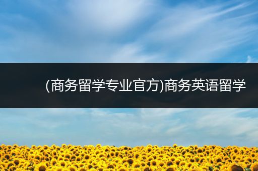 （商务留学专业官方)商务英语留学