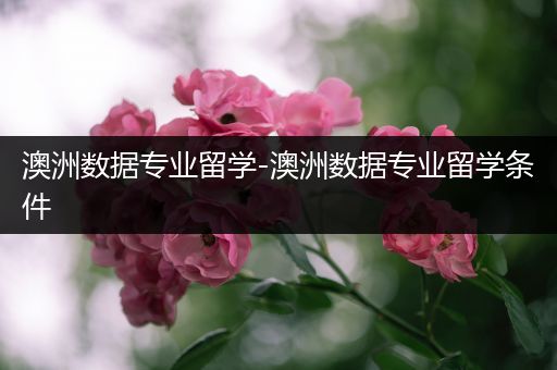 澳洲数据专业留学-澳洲数据专业留学条件