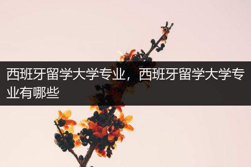 西班牙留学大学专业，西班牙留学大学专业有哪些