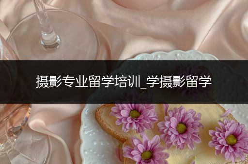 摄影专业留学培训_学摄影留学