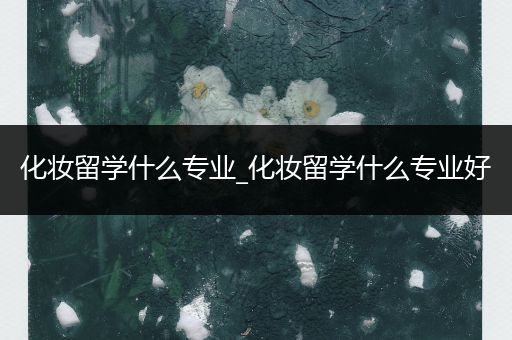 化妆留学什么专业_化妆留学什么专业好