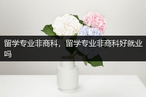 留学专业非商科，留学专业非商科好就业吗