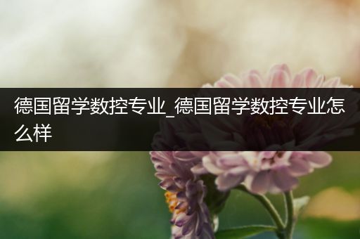 德国留学数控专业_德国留学数控专业怎么样