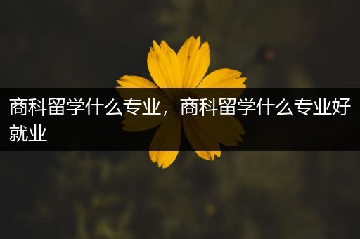 商科留学什么专业，商科留学什么专业好就业