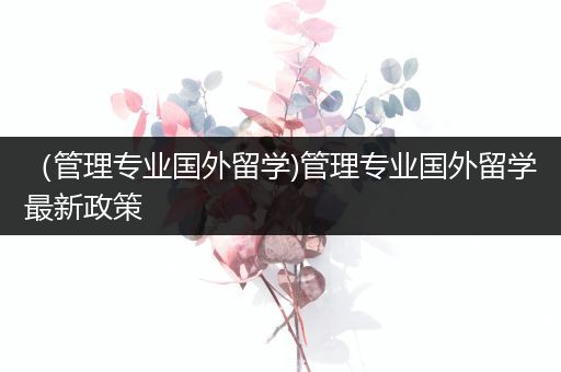 （管理专业国外留学)管理专业国外留学最新政策