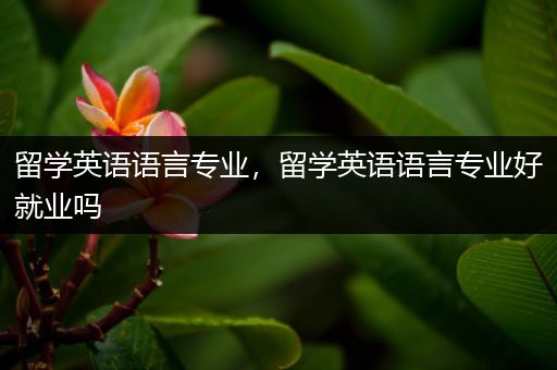 留学英语语言专业，留学英语语言专业好就业吗