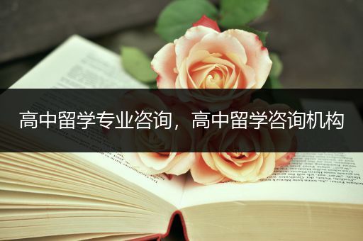 高中留学专业咨询，高中留学咨询机构