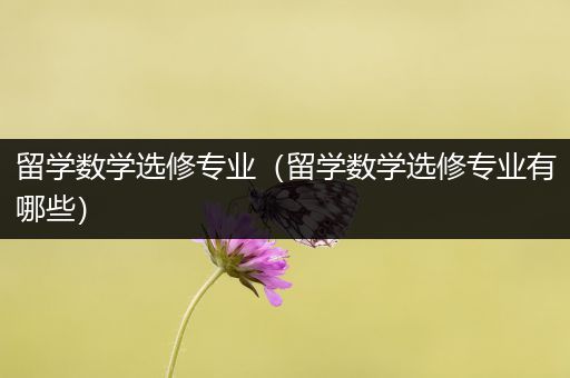 留学数学选修专业（留学数学选修专业有哪些）