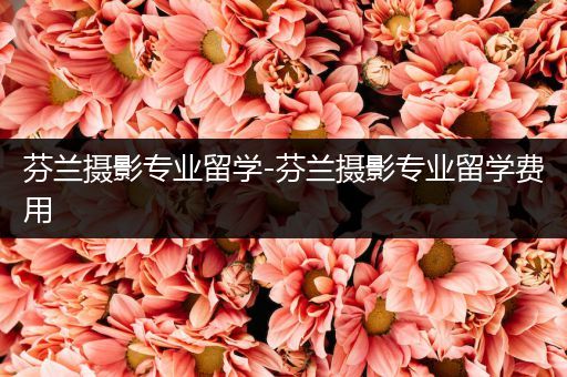 芬兰摄影专业留学-芬兰摄影专业留学费用