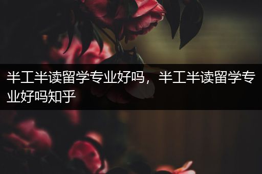 半工半读留学专业好吗，半工半读留学专业好吗知乎