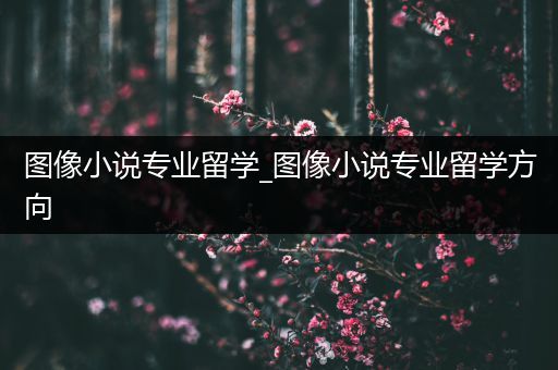 图像小说专业留学_图像小说专业留学方向