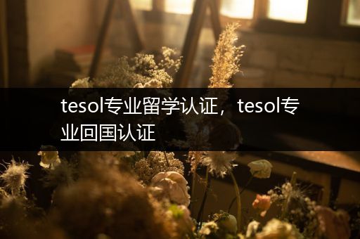 tesol专业留学认证，tesol专业回国认证