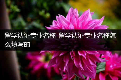 留学认证专业名称_留学认证专业名称怎么填写的