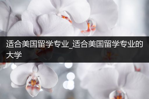 适合美国留学专业_适合美国留学专业的大学