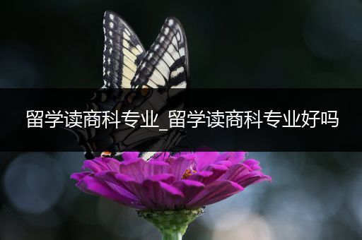 留学读商科专业_留学读商科专业好吗