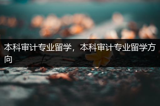 本科审计专业留学，本科审计专业留学方向