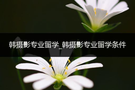 韩摄影专业留学_韩摄影专业留学条件