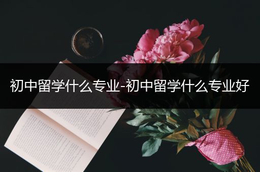 初中留学什么专业-初中留学什么专业好