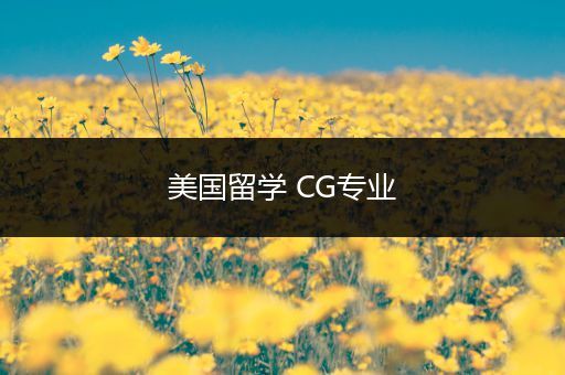 美国留学 CG专业