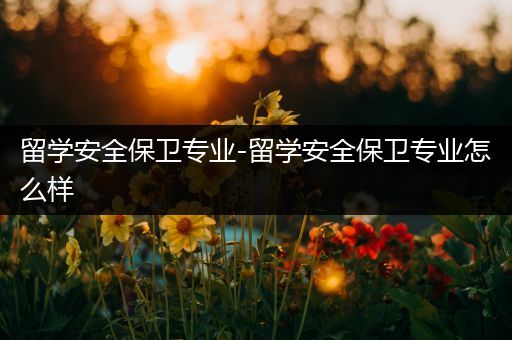 留学安全保卫专业-留学安全保卫专业怎么样