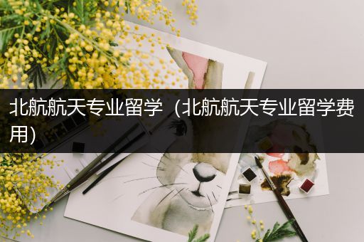 北航航天专业留学（北航航天专业留学费用）