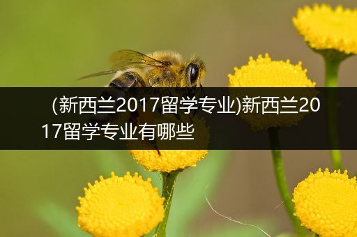 （新西兰2017留学专业)新西兰2017留学专业有哪些