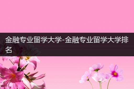 金融专业留学大学-金融专业留学大学排名