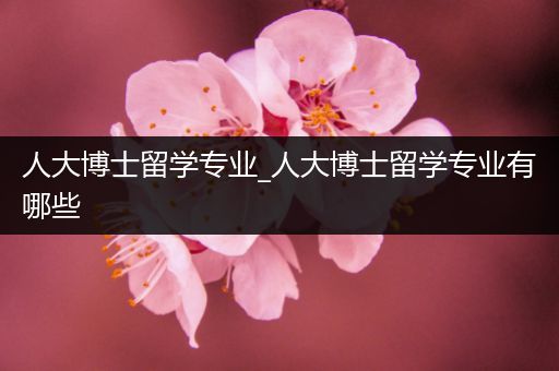 人大博士留学专业_人大博士留学专业有哪些