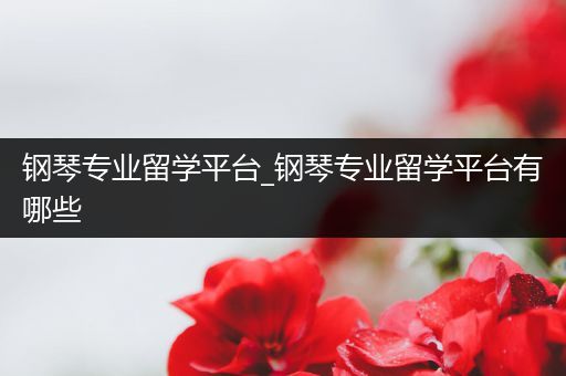 钢琴专业留学平台_钢琴专业留学平台有哪些