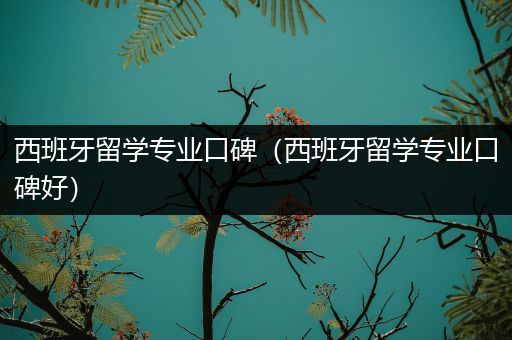 西班牙留学专业口碑（西班牙留学专业口碑好）