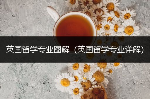 英国留学专业图解（英国留学专业详解）