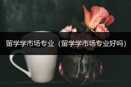 留学学市场专业（留学学市场专业好吗）