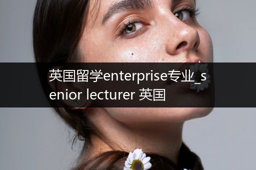 英国留学enterprise专业_senior lecturer 英国